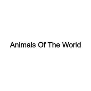 Animals Of The World