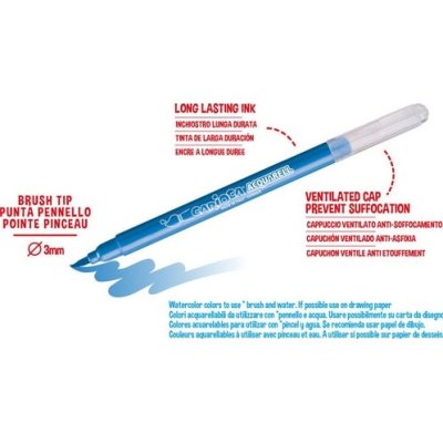 Carioca Acquarell Fırça Uçlu Keçeli Boya Kalemi, 12'li