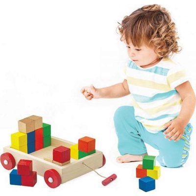 Play Wood Ahşap Renkli Küp Bloklu Araba