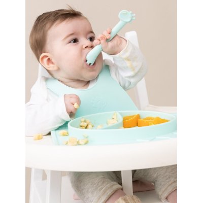 Wee Baby Prime Çok Amaçlı Kaşık