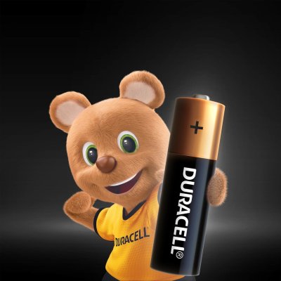 Duracell Basic D Boy Pil, 2'li