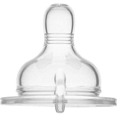 Mamajoo Saklama Kutulu Anti Kolik Cam Biberon Emziği, No: 3, 12+ Ay, 2'li