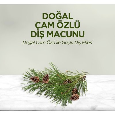 Eyüp Sabri Tuncer Doğal Diş Macunu, Çam Özlü, 90 g