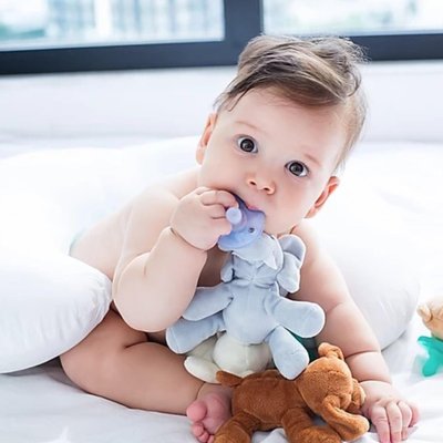 OiOi Emzikli Uyku Arkadaşı, Beyaz Tavşan