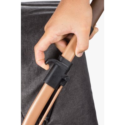 Baby Care Capron Çift Yönlü Bebek Arabası, Gold Siyah