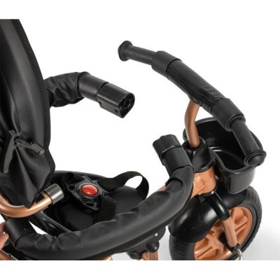 Moje Road Gold 3 Tekerli Kontrollü Bisiklet, Siyah