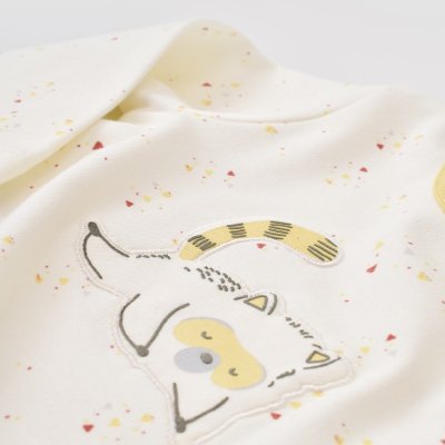 Bibaby Biorganic Baby Racoon 2'li Takım, Limonotu, Vanilya