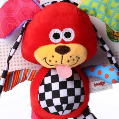 Bondigo Ormandaki Müzisyen Arkadaşım, Köpek