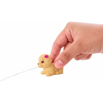 Barbie Skipper'in Su Parkı Eğlencesi Oyun Seti