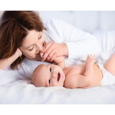 Mycey Göğüs Kalkanı Seti