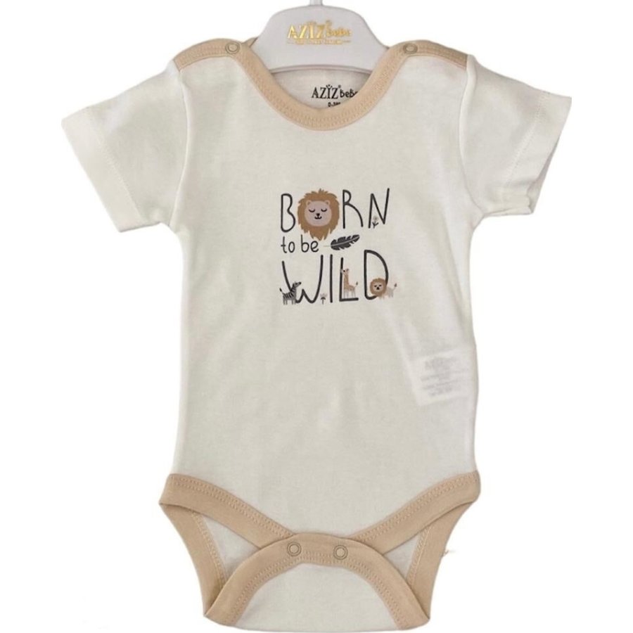 Aziz Bebe Bebek Badi, Ekru