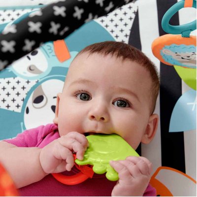 Fisher Price Neşeli Hayvanlar 3'ü 1 Arada Jimnastik Merkezi