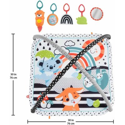 Fisher Price Neşeli Hayvanlar 3'ü 1 Arada Jimnastik Merkezi