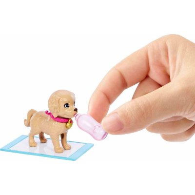 Barbie ve Köpekçikleri Oyun Seti