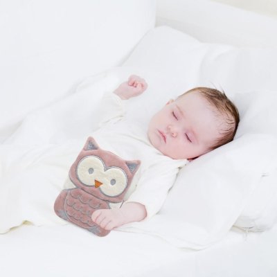 BabyJem Kiraz Çekirdekli Kadife Gaz Yastığı, Gül Kurusu, Baykuş