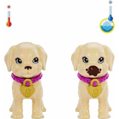 Barbie ve Köpekçikleri Oyun Seti