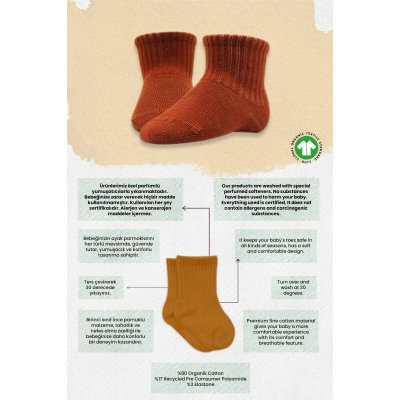 Bistyle Colors Penye Düz Soket Çorap, Toprak, 6'lı
