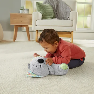 Fisher Price Uyku Arkadaşı, Koala
