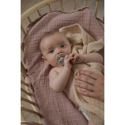 Bibs Colour Kauçuk Emzik 18+ Ay Ivory