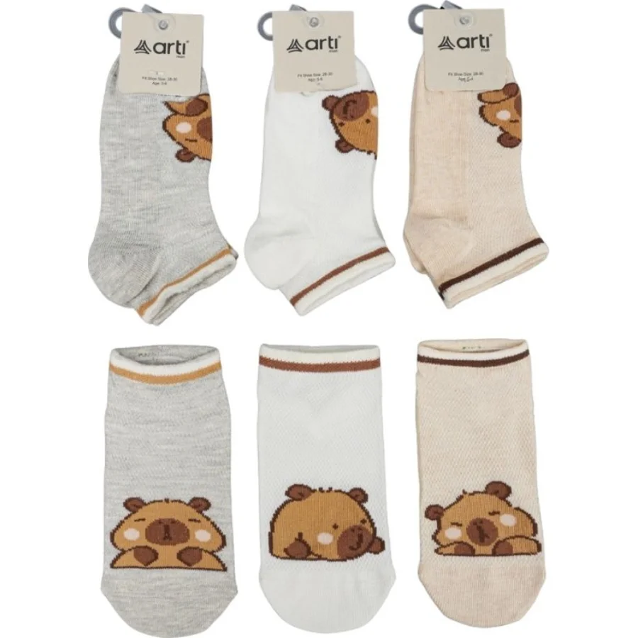 Katamino Capy Abs'li Erkek Patik Çorap, Asorti