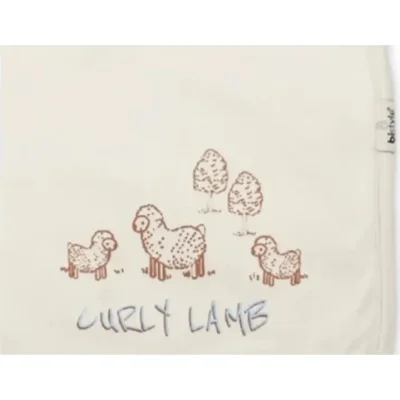 Bistyle Curly Lamb Penye Battaniye, Bej, Mavi, Ekru