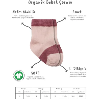 Bistyle 3lü Penye Rainbow Soket Çorap 10113 Pudra