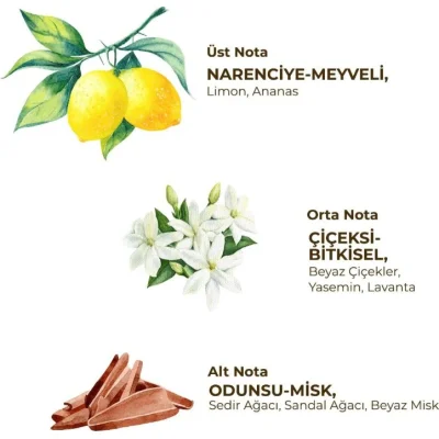 Eyüp Sabri Tuncer Kadın Roll On Deodorant, 75 ml, Fresh