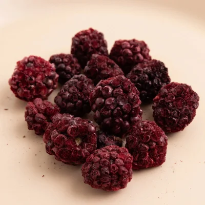 Pol’s Freeze Fresh Böğürtlen, 20 g