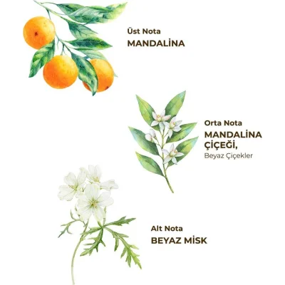 Eyüp Sabri Tuncer Kolonya Pet Şişe Sprey, 150 ml, Bodrum Mandalinası