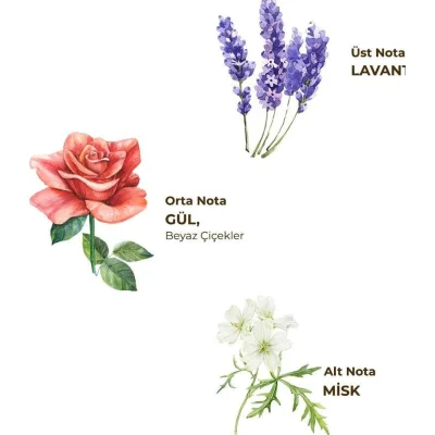 Eyüp Sabri Tuncer Kolonya Pet Şişe Sprey, 150 ml, Lavanta