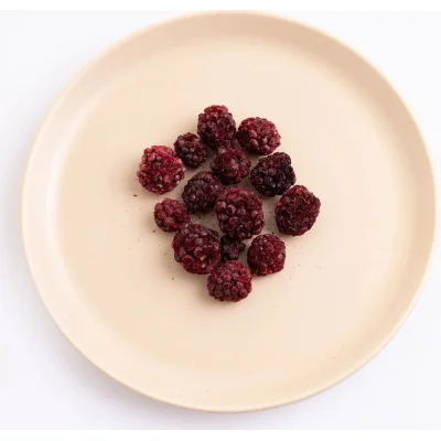 Pol’s Freeze Fresh Böğürtlen, 20 g