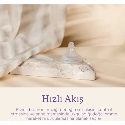 Lansinoh Natural Wave Biberon Emziği, Hızlı Akış, 2'li