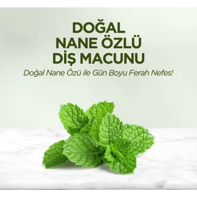 Eyüp Sabri Tuncer Doğal Diş Macunu, 90 g, Nane Özlü