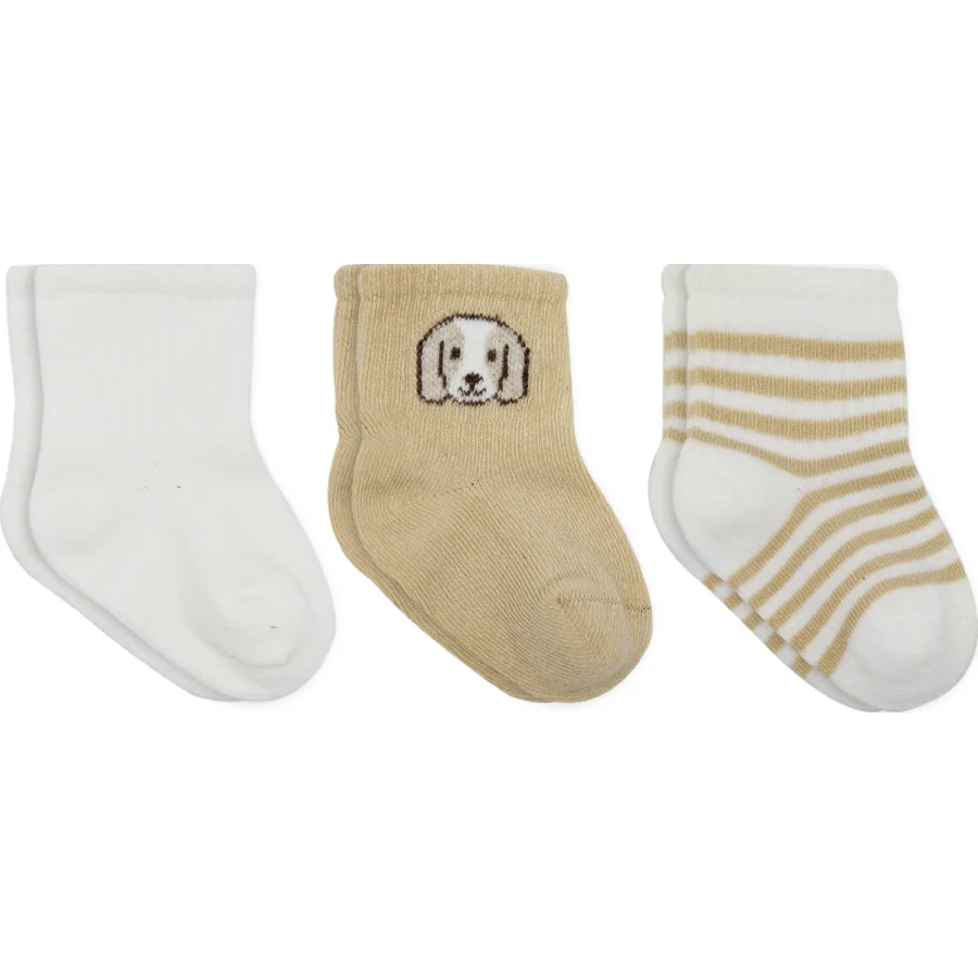 Bistyle Dog Boy Penye Soket Çorap, 3'lü, Ekru