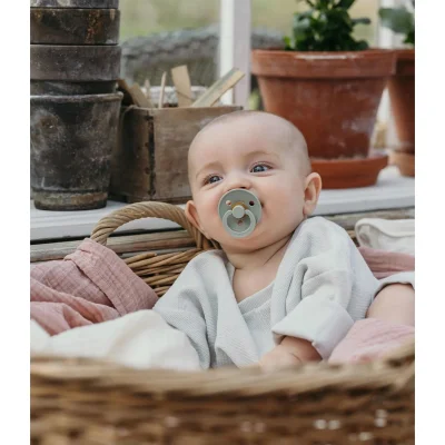 Bibs Colour Kauçuk Emzik 18+ Ay Sage