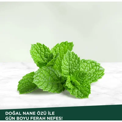 Eyüp Sabri Tuncer Doğal Diş Macunu, 90 g, Nane Özlü