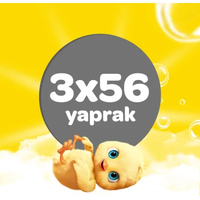 Dalin Islak Pamuk Havlu Mendil, 56 Yaprak, 3'lü