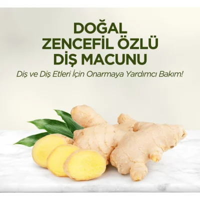 Eyüp Sabri Tuncer Doğal Diş Macunu, Zencefil Özlü, 90 g