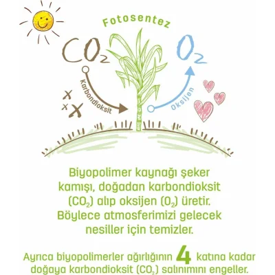 Sleepy Bio Natural Islak Havlu Mendil, 120 Yaprak