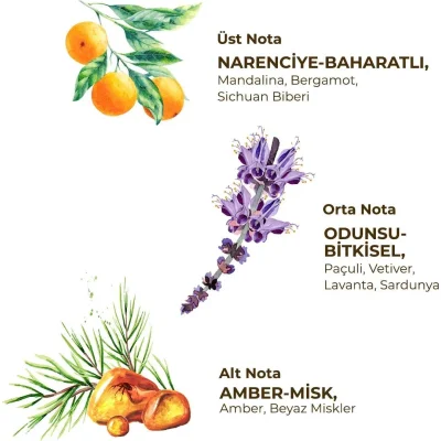 Eyüp Sabri Tuncer Erkek Roll On Deodorant, 75 ml, Sport