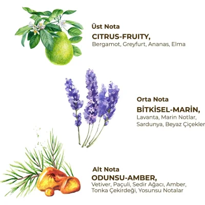 Eyüp Sabri Tuncer Erkek Roll On Deodorant 75 ml Active