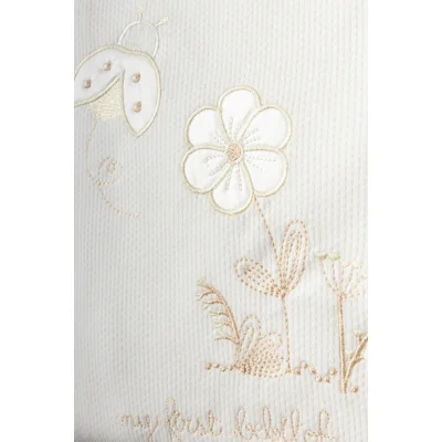 Bebitof Uğur Böceği Hastane Çıkışı, 10 Parça, Somon