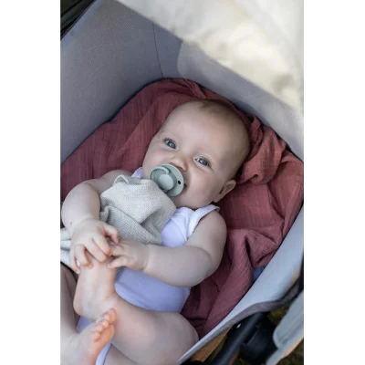 Bibs De Lux Silikon Emzik 0-36 Ay Blush