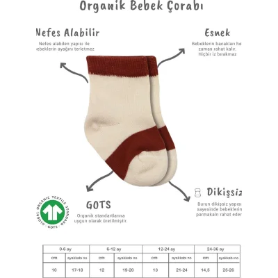 Bistyle Penye Rainbow Soket Çorap, 3'lü, Kiremit