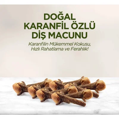 Eyüp Sabri Tuncer Doğal Diş Macunu 90 Gr Karanfil