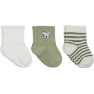 Bistyle Koala Boy 3'lü Penye Soket Çorap 10133 Ekru