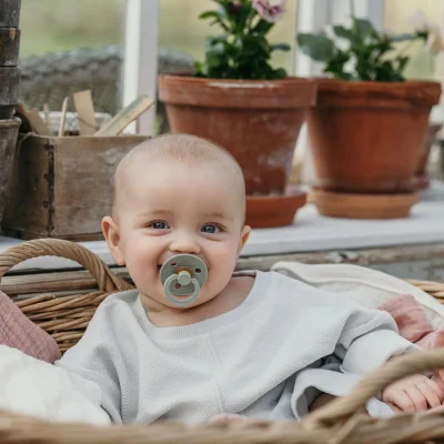 Bibs Colour Kauçuk Emzik, 0-6 Ay, Sage