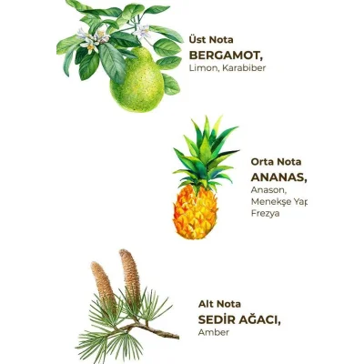 Eyüp Sabri Tuncer Kolonya Pet Şişe Sprey, 150 ml, Okyanus