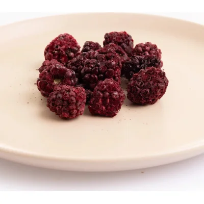 Pol’s Freeze Fresh Böğürtlen, 20 g