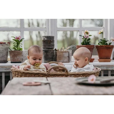 Bibs Colour Kauçuk Emzik, 0-6 Ay, Mustard